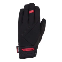 Roeckl Sports KAUKASUS Unisex Skihandschuhe SCHWARZ