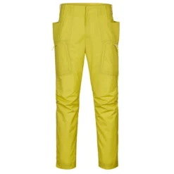 Icebreaker SHELL+ PANTS Herren Softshellhose SHINE