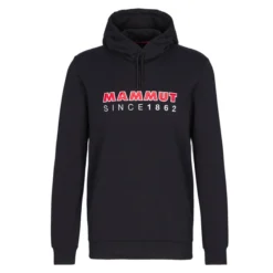 Mammut MAMMUT ML HOODY LOGO Herren Kapuzenpullover BLACK-SPICY